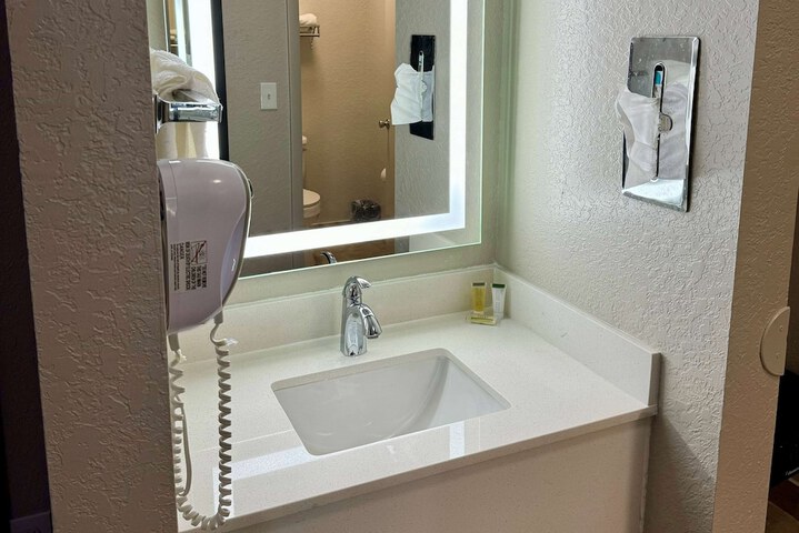 1 King Bed Mobility Hearing Impaired Accessible Room Roll in Shower (8 of 13)