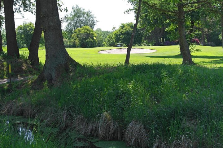 Property Grounds 28 of 39