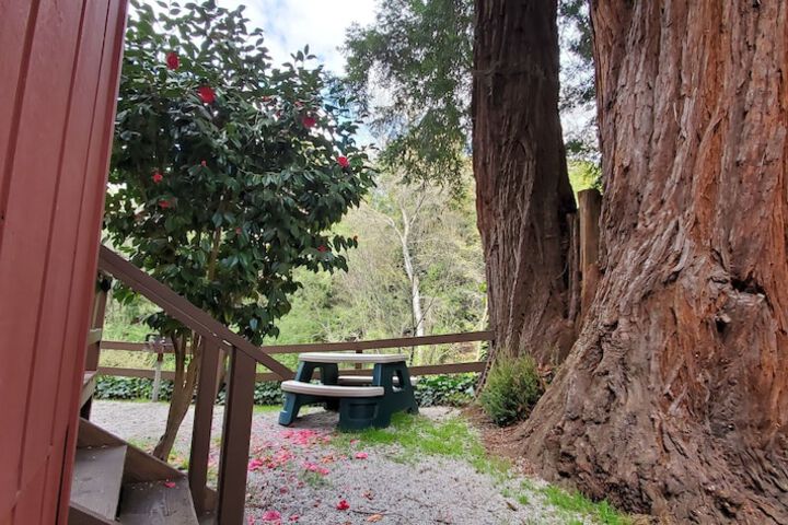 Terrace/Patio 253 of 329