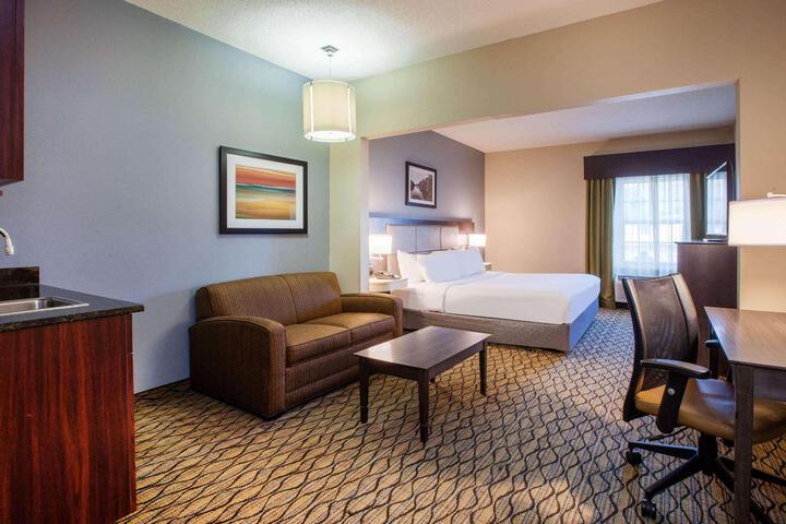 1 King Bed Accessible (9 of 12)
