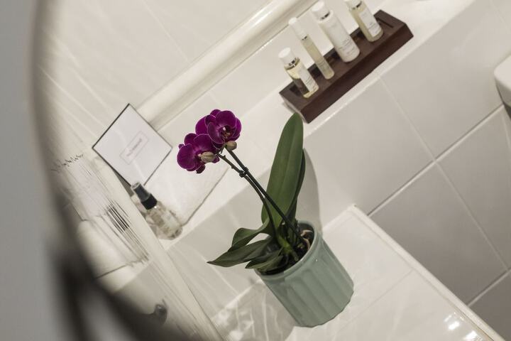 Bathroom Interior Photo