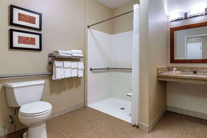1 King Bed Accessible (10 of 17)