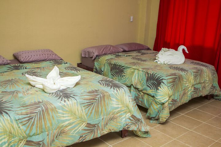 Room 4 of 62