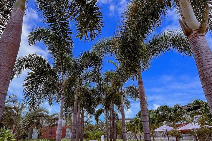 General 20 of 43