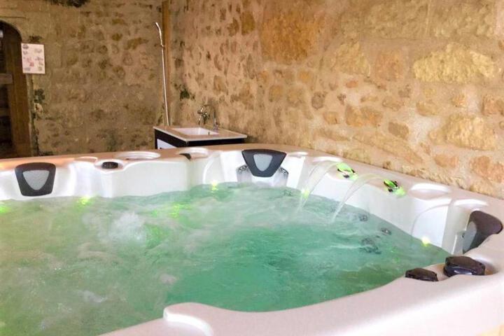 Élégante Demeure 17e avec Spa Sauna et Authentique Cheminée, proche Châteaux de la Loire - FR-1-381-348