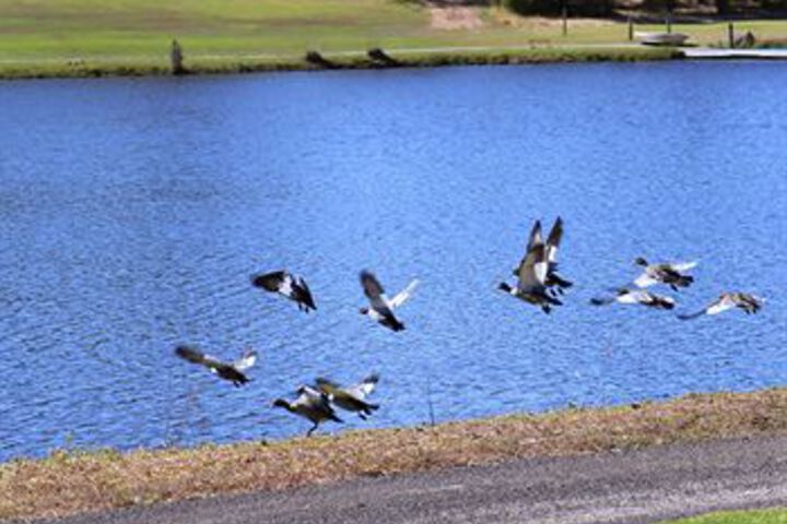 Property Grounds 13 of 25