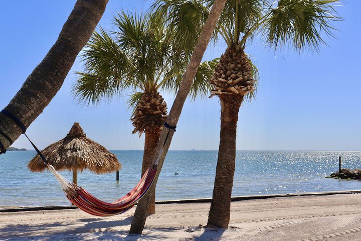 Beach 58 of 65