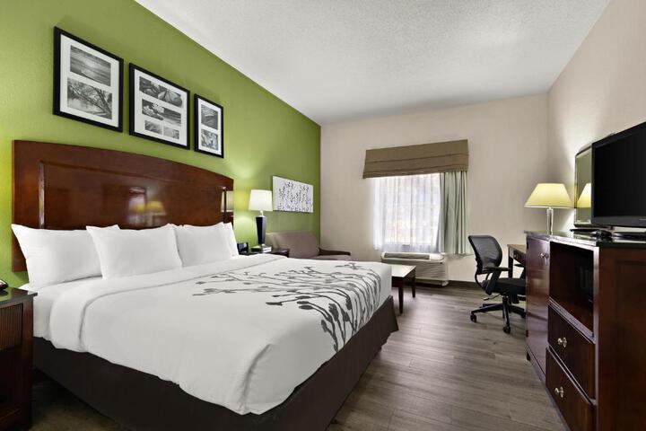 1 King Bed (12 of 19)