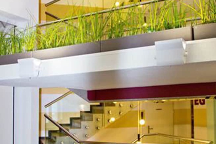 Lobby Entry