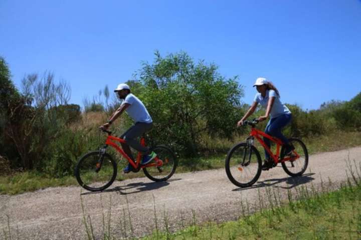 Outdoor Activities 89 of 147