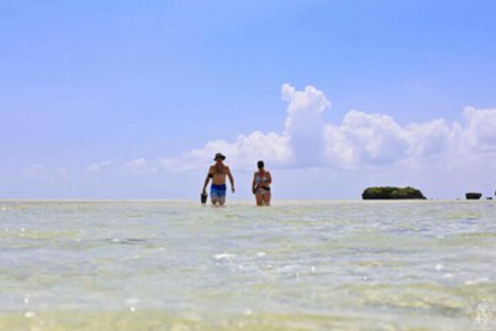 Beach 12 of 40