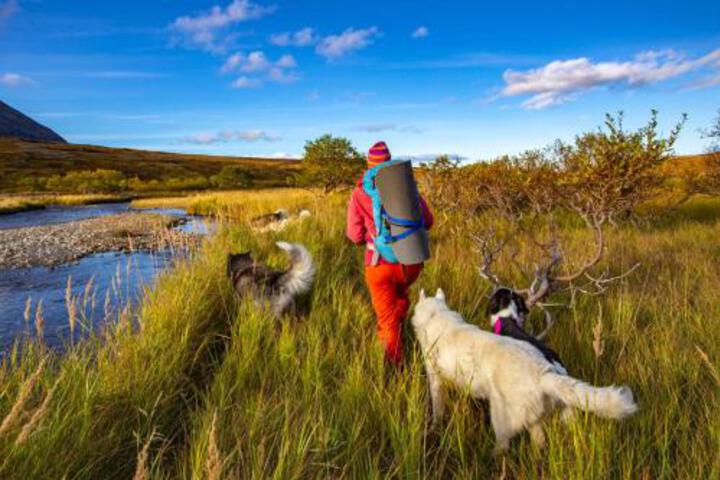 General 7 of 27