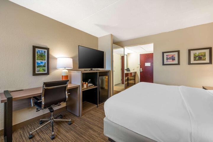 1 King Bed Accessible (8 of 18)