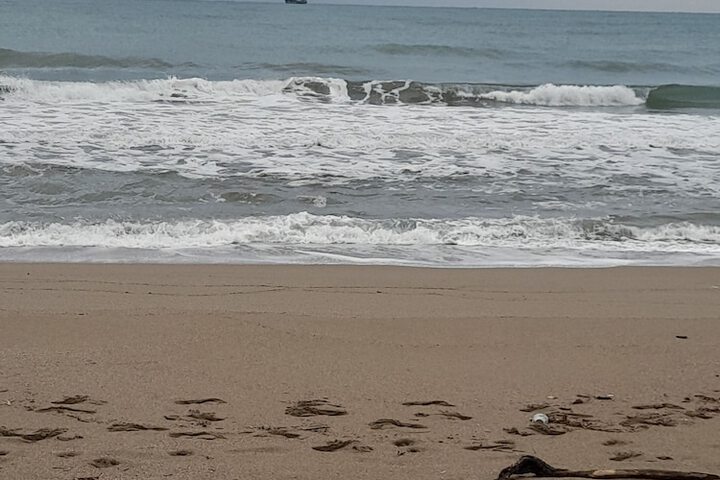 Beach 43 of 60