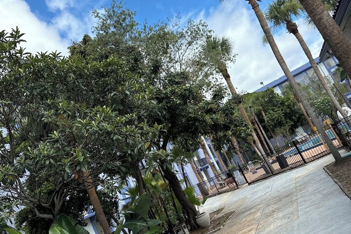 BBQ/picnic area