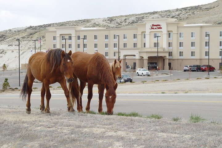 Hotel 37 of 38
