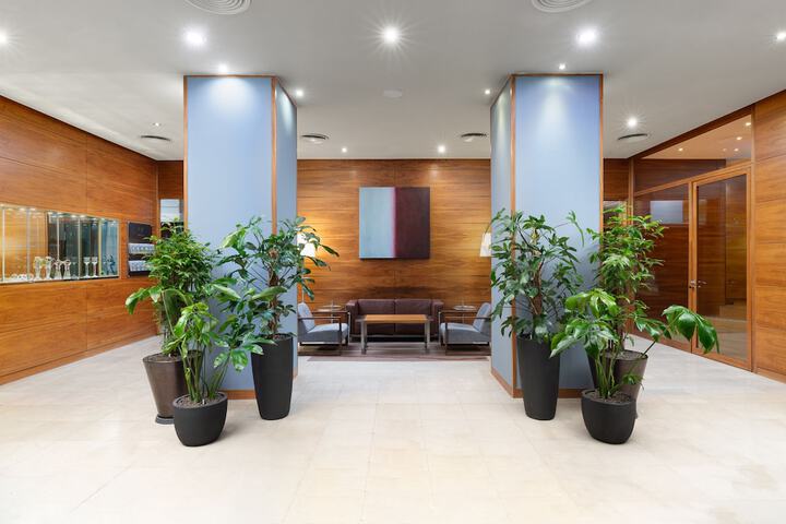Lobby Photos