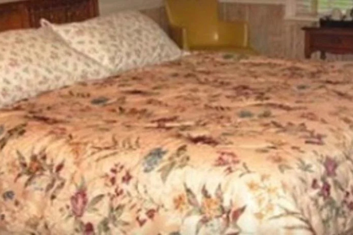 Image of Cannon Mountain View Motel