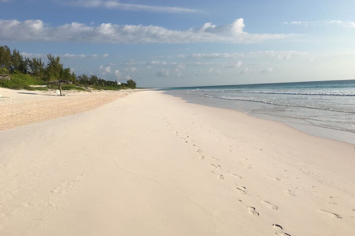 Beach 176 of 208