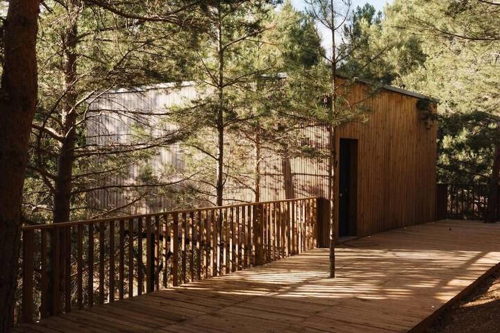 Property Grounds 16 of 21