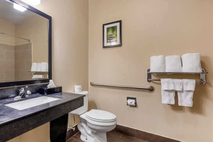 1 King Bed Suite (33 of 44)