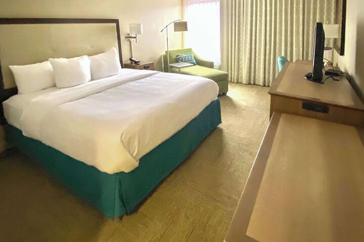 1 King Bed (22 of 23)