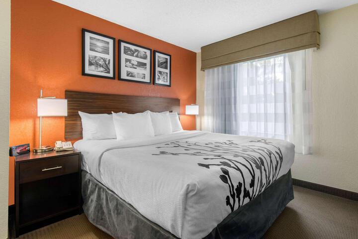 1 King Bed (5 of 8)