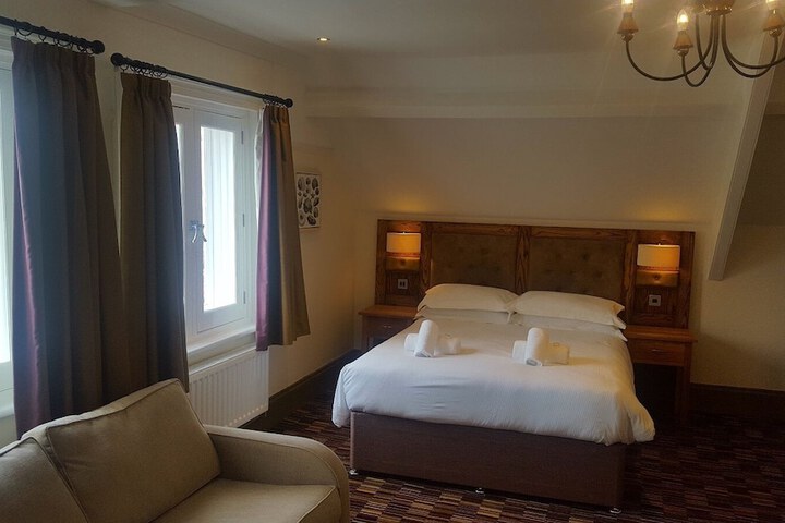 The Dolphin Image 11