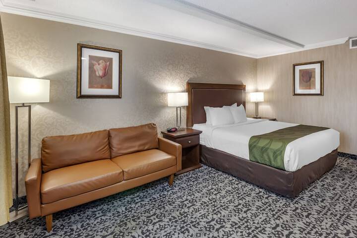 Room 12 of 65