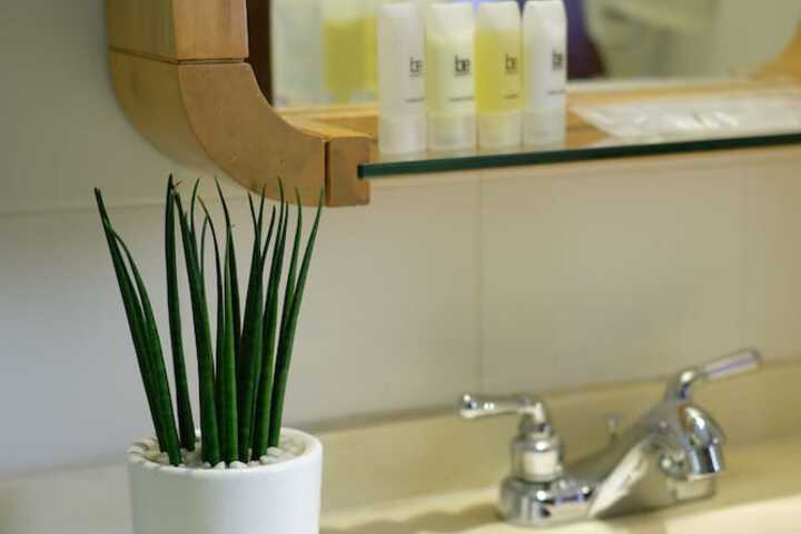 Bath Photo