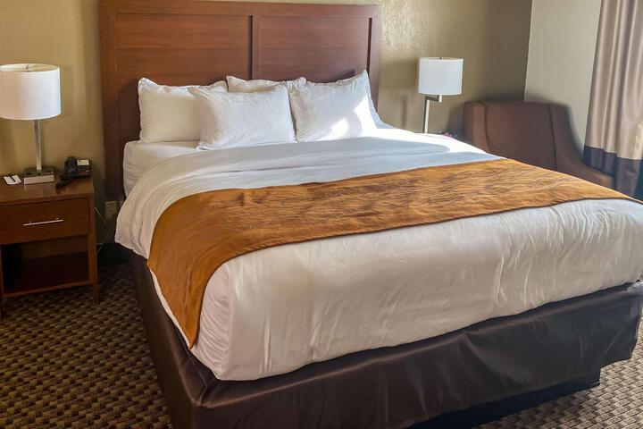 1 King Bed (18 of 24)