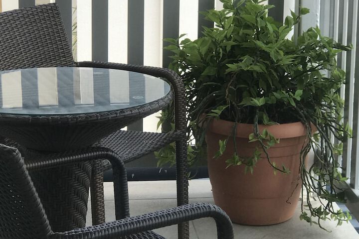 Terrace/Patio 11 of 27