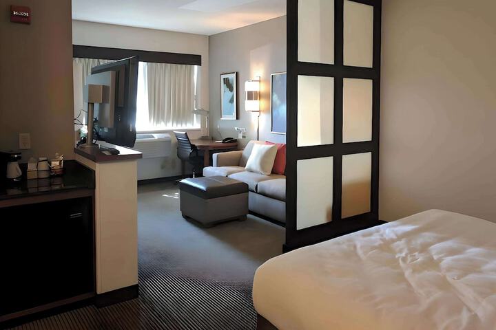 1 King Bed Suite
