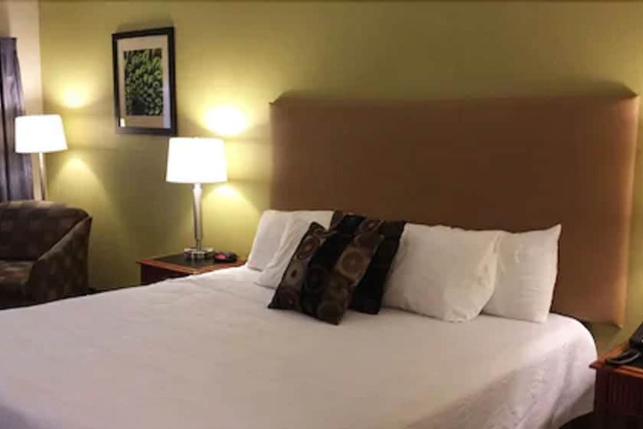 Standard | King Bed (3 of 7)