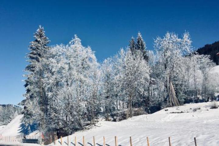 General 8 of 90