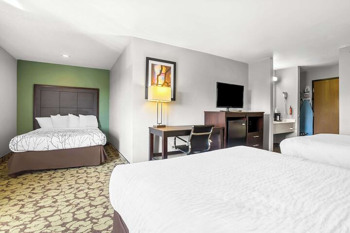 2 Queen Beds Microwave and Refrigerator Flat Screen Television High Speed Internet Accessible Coffee Maker Iron and Ironing Board Full Breakfast (4 of 9)