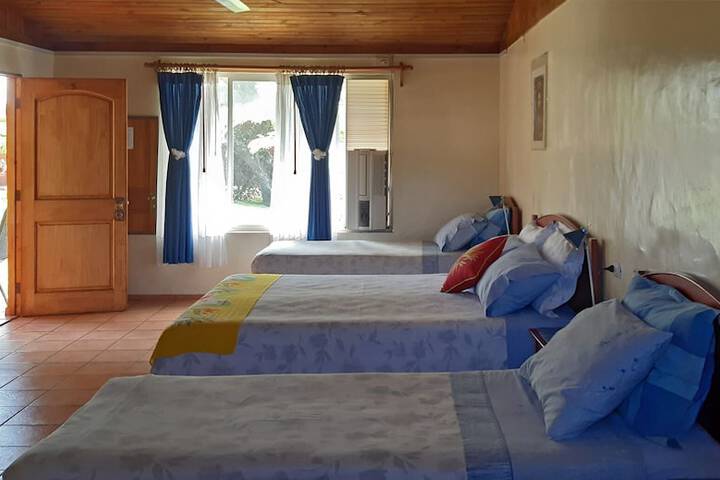 Room 3 of 37