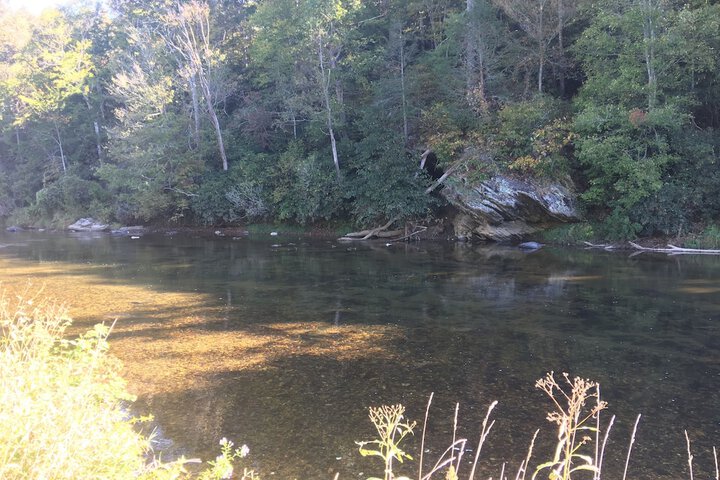 Property Grounds 46 of 55