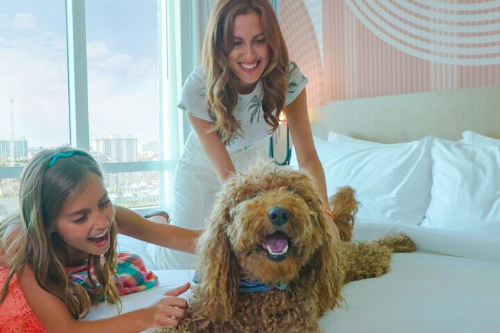 Pet-friendly