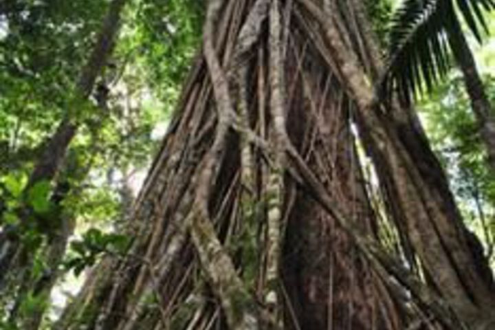 Property Grounds 35 of 43