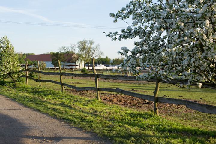 Property Grounds 32 of 56