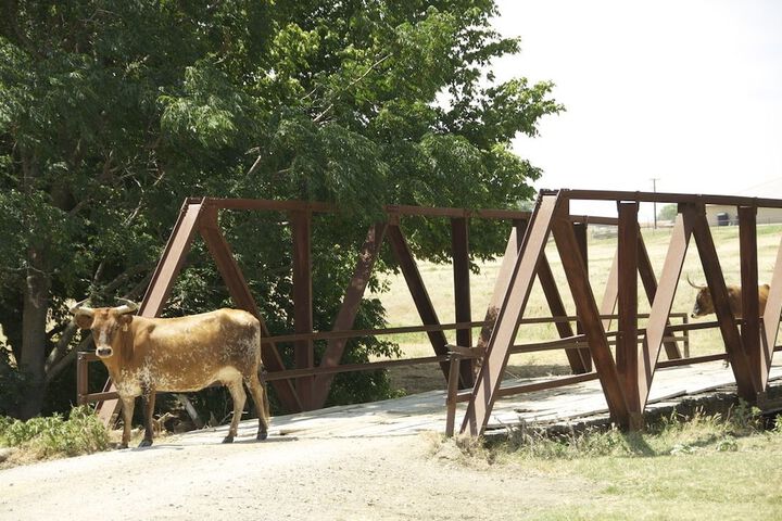 Property Grounds 44 of 79