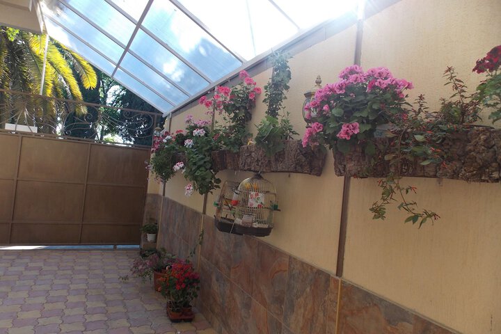 Terrace/Patio 58 of 59