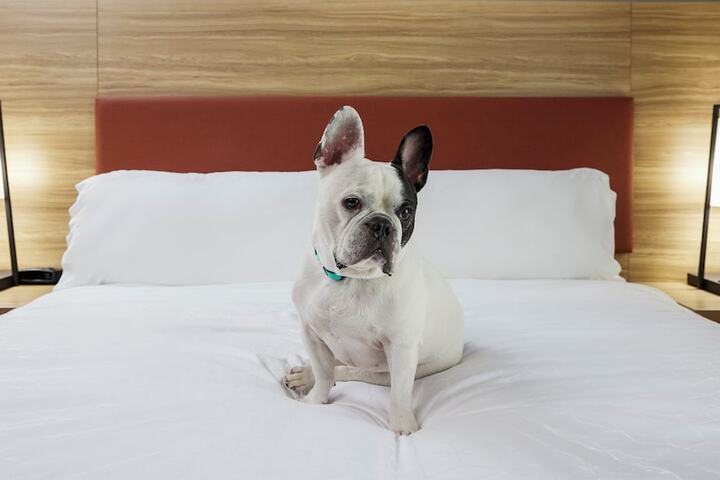 Room Service Photo
