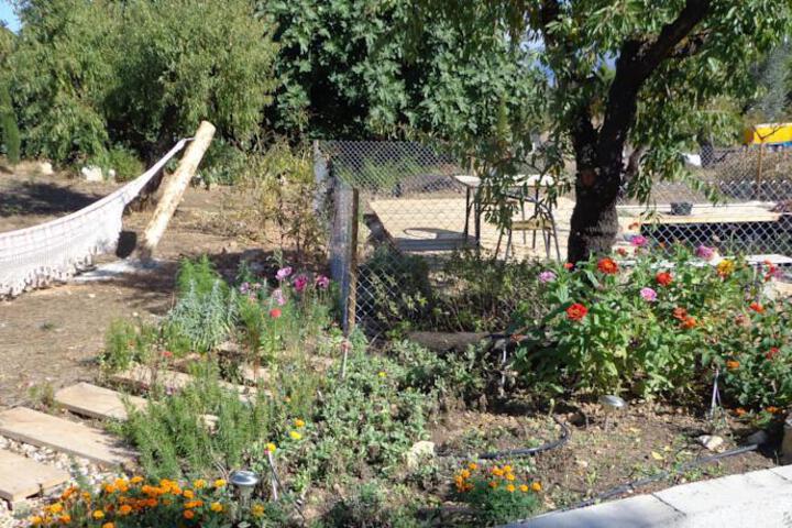 General 9 of 11