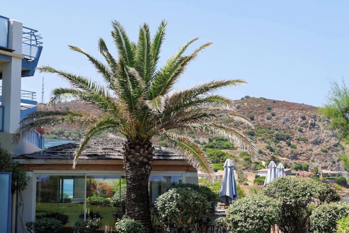 Hotel Exterior 106 of 125