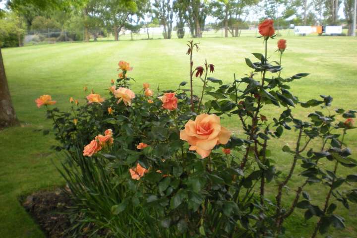 Property Grounds 29 of 33