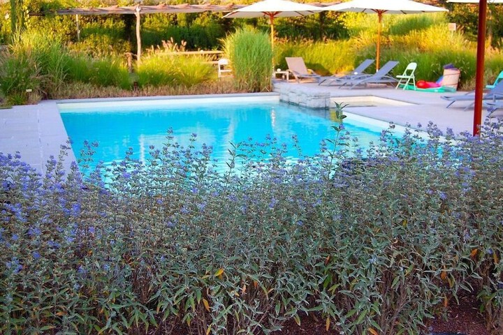 Pool 84 of 141