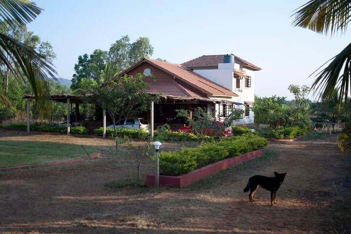 Spa and Wellness Pictures