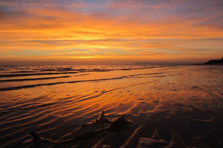 Beach 54 of 65